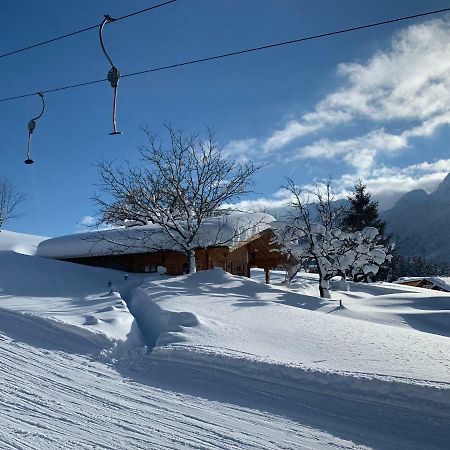 Jagdhütte Villa Abtenau Dış mekan fotoğraf