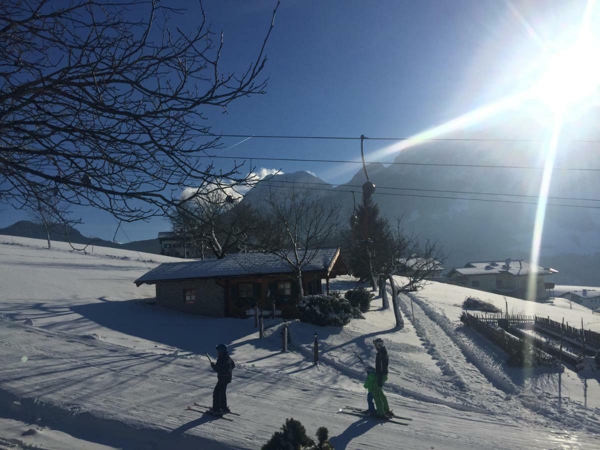 Jagdhütte Villa Abtenau Dış mekan fotoğraf